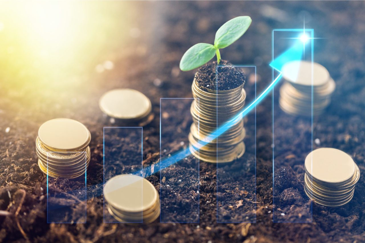 Navigating a Greener Path The Bond Between Revenue Management and